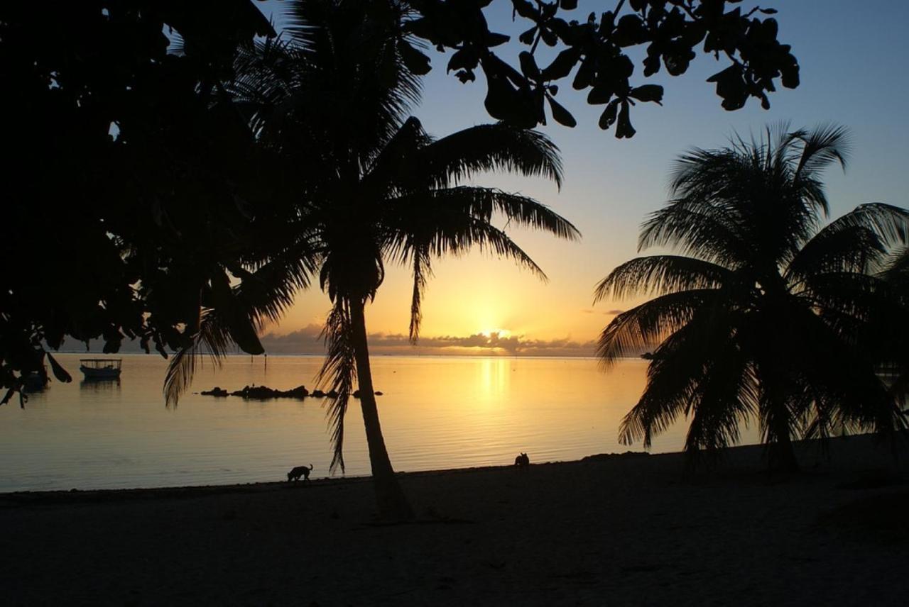 Tahiti - Taharuu Houses Surf & Beach Papara Extérieur photo
